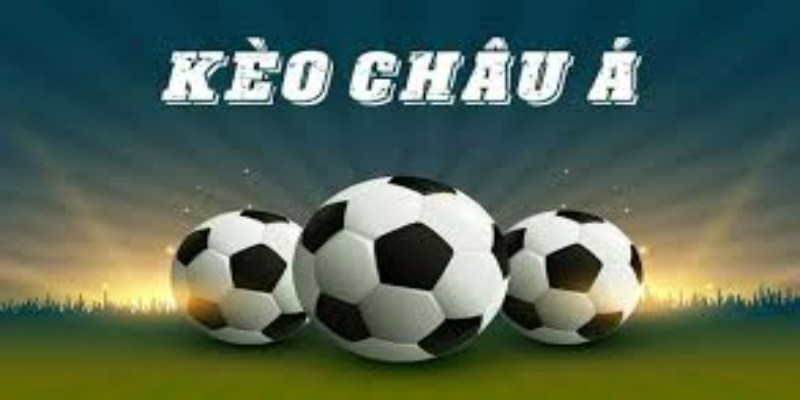 Theo dõi các chuyên gia để soi kèo